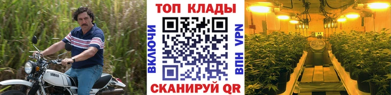 Наркошоп купить Канабис  ГЕРОИН  Псилоцибиновые грибы  ГАШИШ  A PVP  МЕФ  Купино