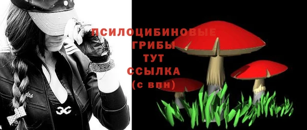 МДПВ Куйбышев