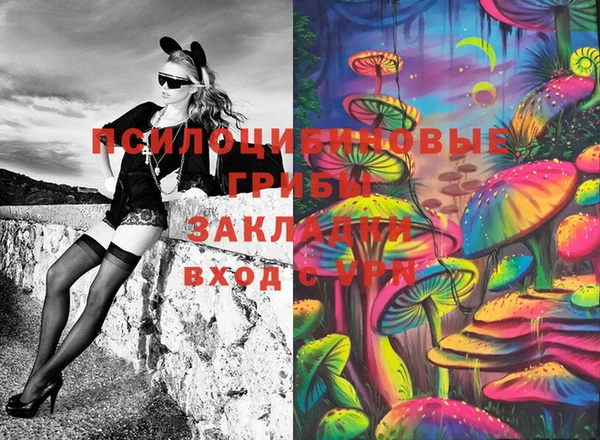 герыч Кулебаки