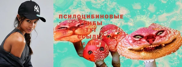 герыч Кулебаки
