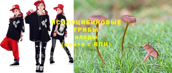 МДПВ Куйбышев