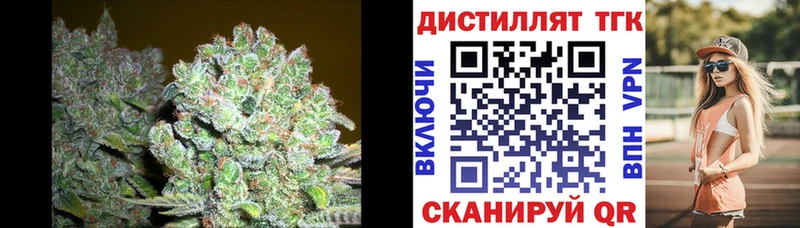 ТГК Wax  Купить где  Купино 